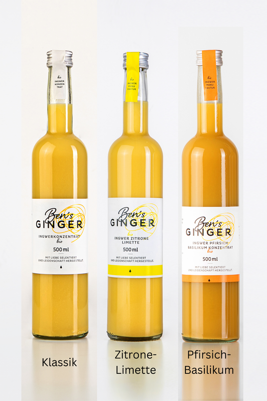 Ben's Ginger Bio Probierpaket